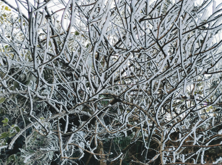 （以上为往年图，具体挂冰雾凇景观视天气情况而定）