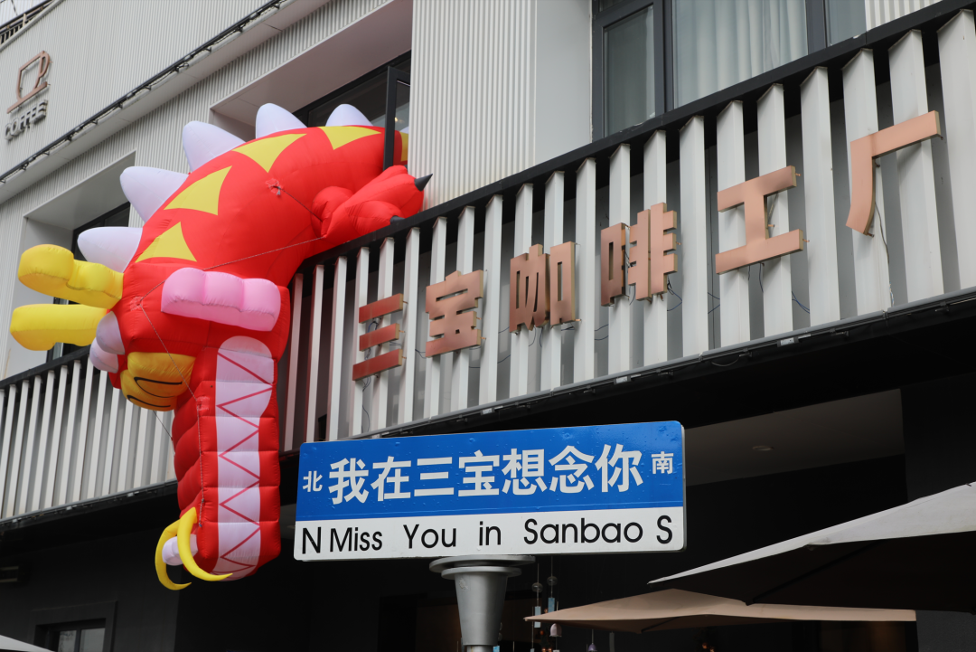 陶源谷游踪，一场盎然的春日邂逅