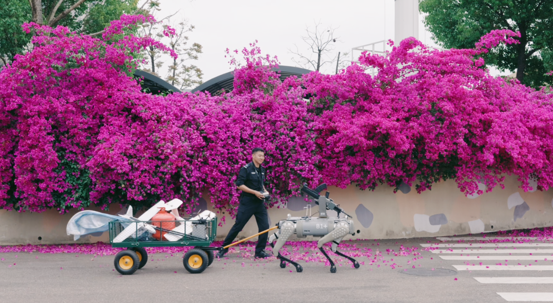 微信图片_20260528130753_291_49.png