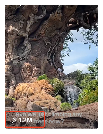 就为出片？！妹子直接爬到美国迪士尼著名的生命之树上拍照！围观游客看呆：终身禁令快来（组图） - 16