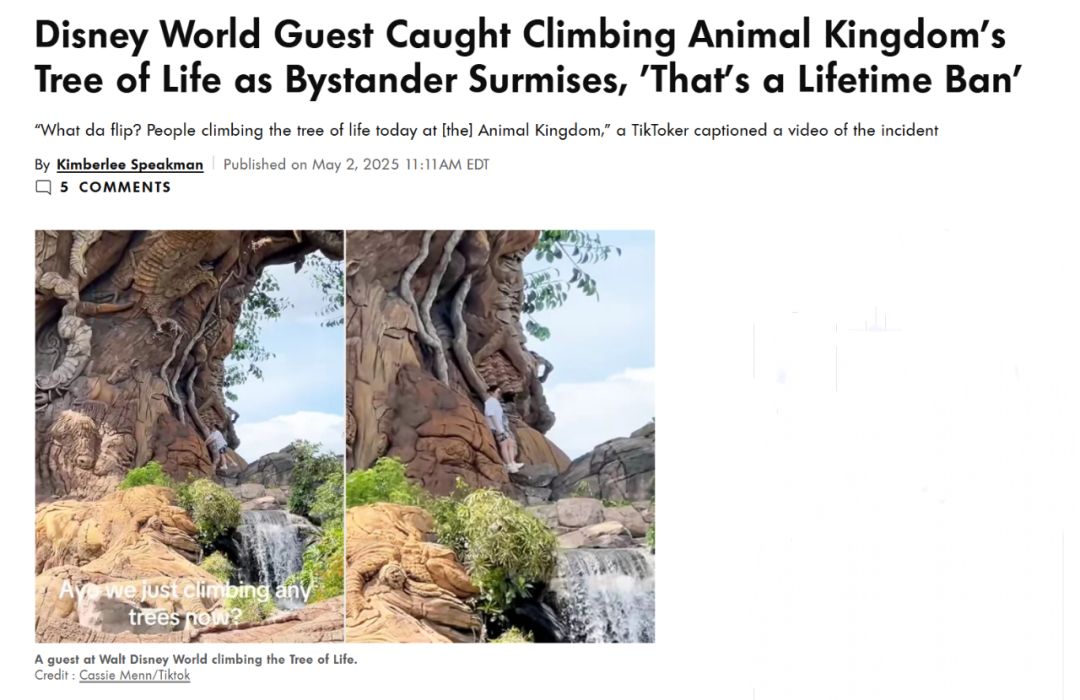 就为出片？！妹子直接爬到美国迪士尼著名的生命之树上拍照！围观游客看呆：终身禁令快来（组图） - 1