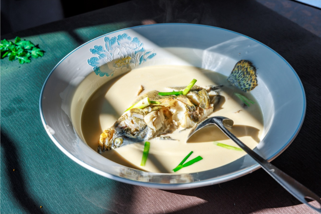 西瓜皮.jpg