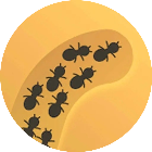 蚂蚁进化大冒险