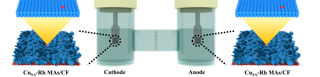 医用臭氧怎么获得浙工大化工学院在电催化“共生”臭氧和次氯酸钠“协同”降解农药与抗生素领域取得新进展_https://www.jmylbn.com_新闻资讯_第10张