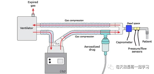 呼吸机呼气阀是什么重症技术之机械通气（二十四）-呼吸机管路（上）_https://www.jmylbn.com_新闻资讯_第2张