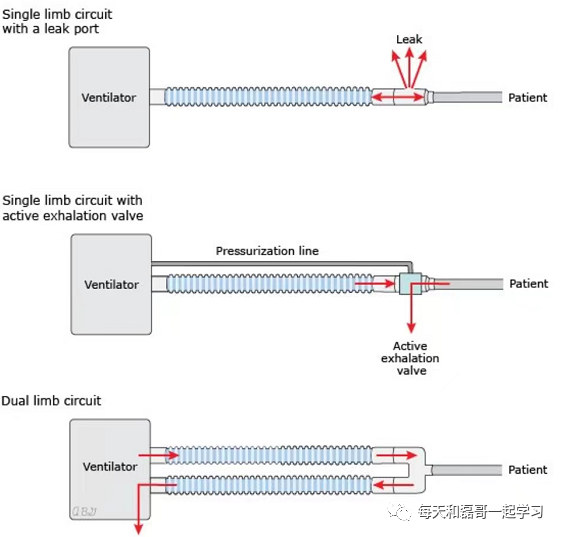呼吸机呼气阀是什么重症技术之机械通气（二十四）-呼吸机管路（上）_https://www.jmylbn.com_新闻资讯_第1张