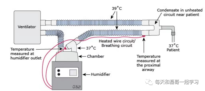 呼吸机呼气阀是什么重症技术之机械通气（二十四）-呼吸机管路（上）_https://www.jmylbn.com_新闻资讯_第4张