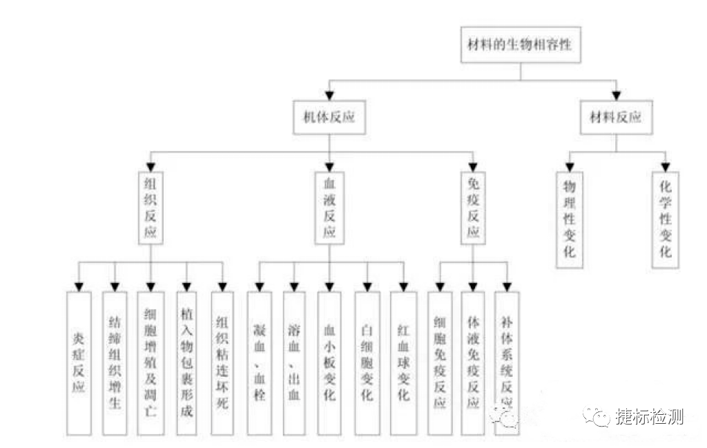 图 1 材料的生物相容性