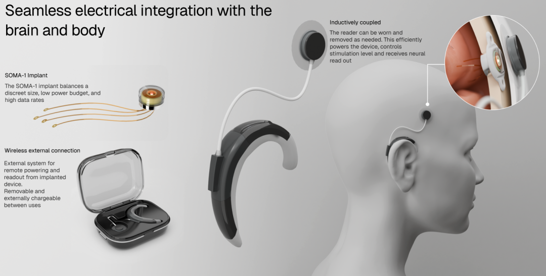 Picture 2115493875, Picture