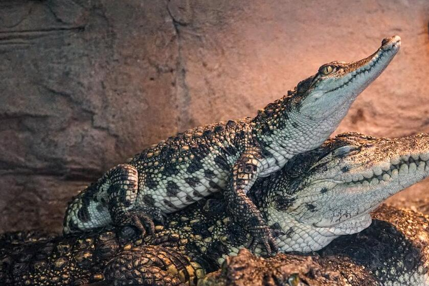 挨着南京,杭州的安徽宝藏小城