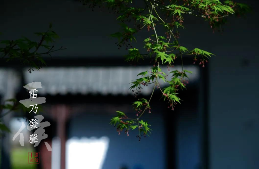 川科智能应用|仲春时节，莫负春光(图1)