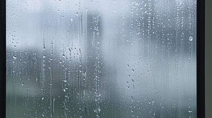 2025年06月24日金华天气