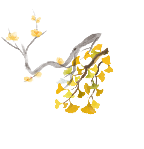 Get易烊千玺电影同款，这份金牛区宝藏打卡攻略请收好！插图1