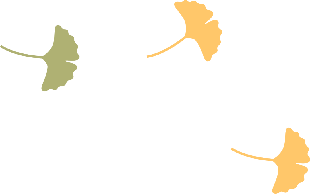 Get易烊千玺电影同款，这份金牛区宝藏打卡攻略请收好！插图2