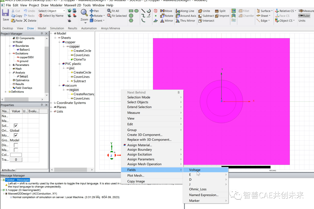 手摸手教你入门ansys maxwell | 铜线电场分布的图38