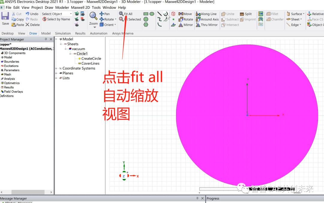 手摸手教你入门ansys maxwell | 铜线电场分布的图10