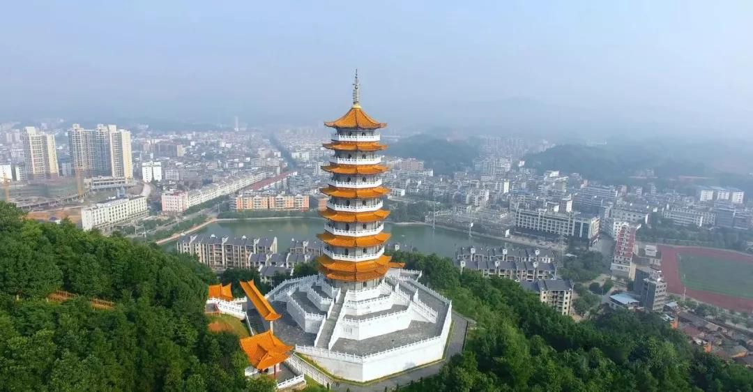 定南对接融入大湾区内外兼修闯新路