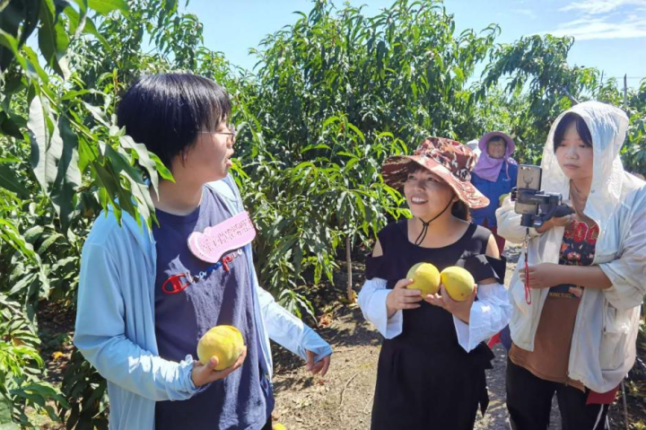 三农致富养鹅视频_致富经养鹅视频_致富经鹅养殖技术视频