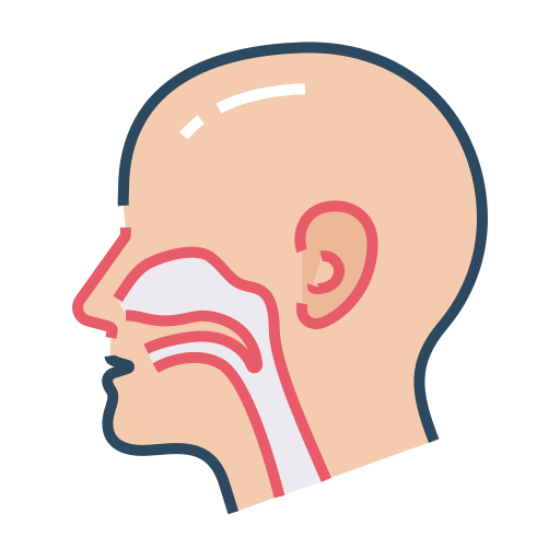 ear.png