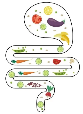 肠电图能查看什么“秘密武器”，化解胃肠危机！淮安市二院儿童消化科专家带你了解功能性胃肠疾病解忧“神器”——胃肠电图_https://www.jmylbn.com_新闻资讯_第11张