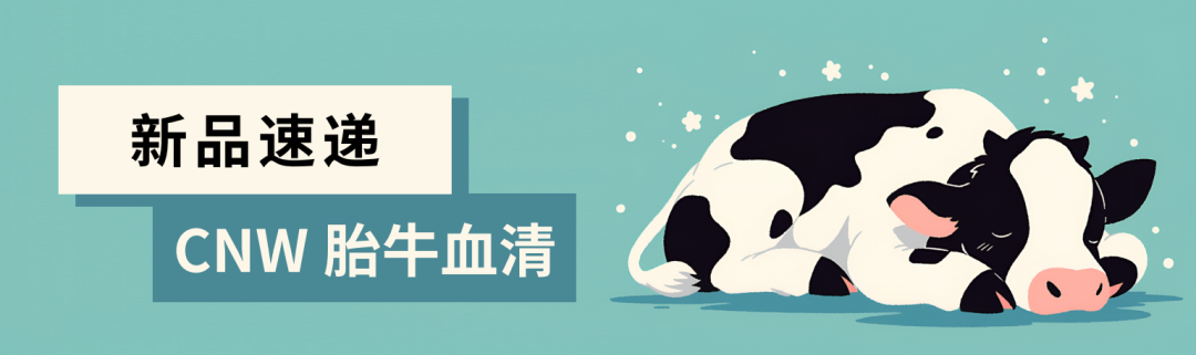 新品速遞丨細(xì)胞培養(yǎng)，明智之選，CNW胎牛血清免費(fèi)試用啦