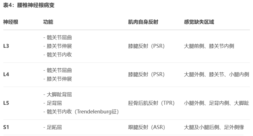 椎间盘突出症的诊断与治疗