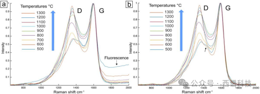 碳化材料的拉曼光谱分析