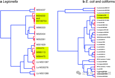 共聚焦拉曼光譜儀應(yīng)用—細菌拉曼光譜測量