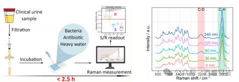 共聚焦拉曼光譜儀應(yīng)用—細菌拉曼光譜測量