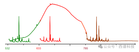 共聚焦拉曼光譜儀應(yīng)用—細菌拉曼光譜測量