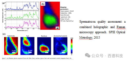 拉曼光谱技术应用于蛋白质及多肽样品分析的优势和局限性