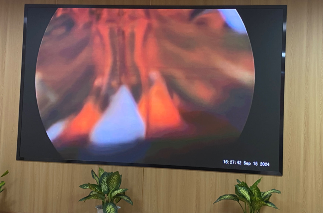 微信图片_20240924091740