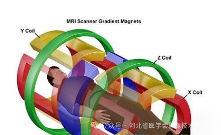 磁共振设备多少钱磁共振设备知多少？_https://www.jmylbn.com_品牌排行榜_第10张
