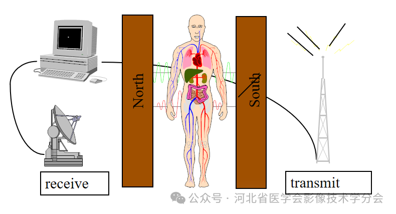 磁共振设备多少钱磁共振设备知多少？_https://www.jmylbn.com_品牌排行榜_第15张