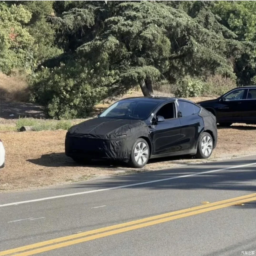 Tesla Model Y Spy Photo