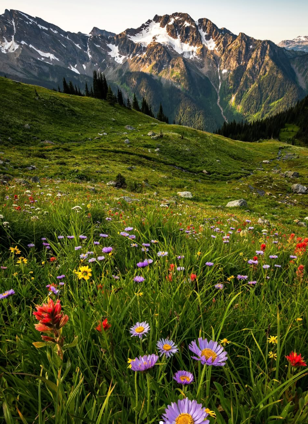 Feature Image