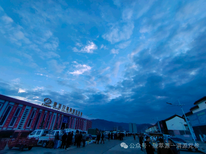 文峰康美中药材市场快讯(10.12)
