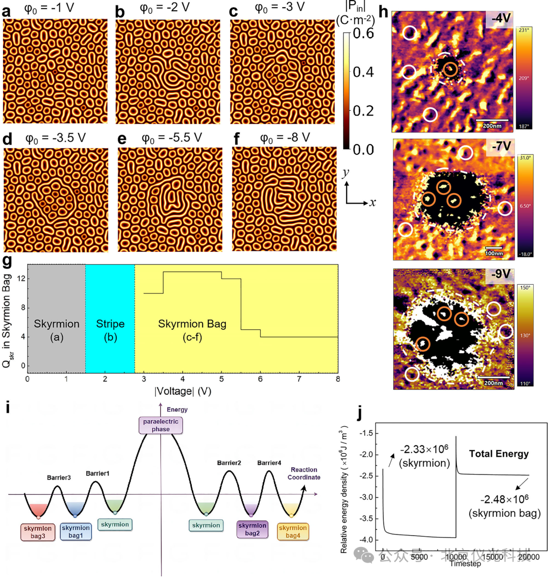 泽攸原位TEM测量系统帮助科学家在室温下实现极性斯格明子包的可控构建