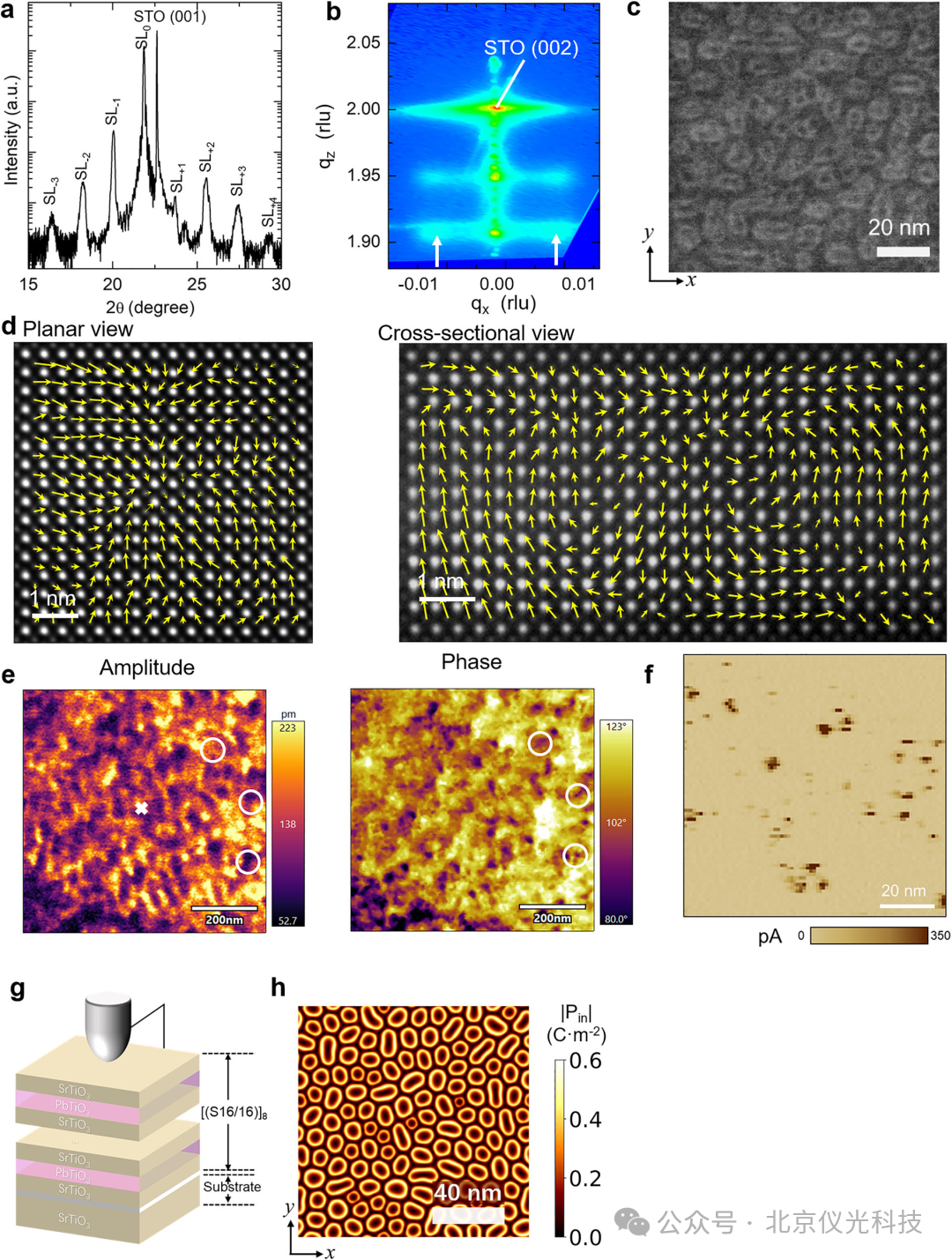 泽攸原位TEM测量系统帮助科学家在室温下实现极性斯格明子包的可控构建