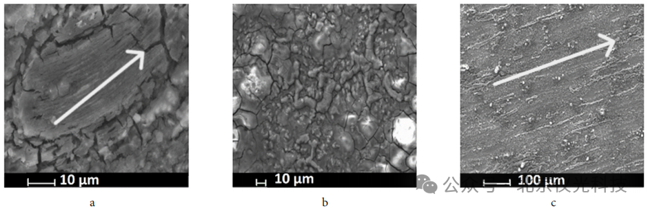 泽攸科技ZEM系列台式扫描电镜助力稀土镁合金研究