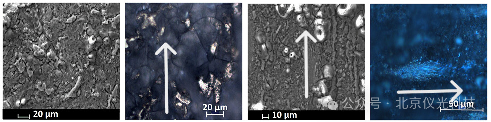 泽攸科技ZEM系列台式扫描电镜助力稀土镁合金研究