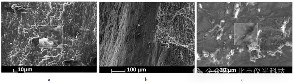 泽攸科技ZEM系列台式扫描电镜助力稀土镁合金研究