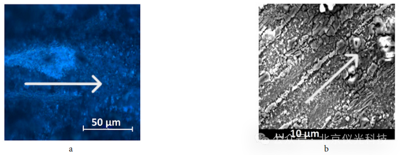 泽攸科技ZEM系列台式扫描电镜助力稀土镁合金研究