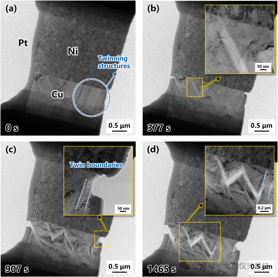 打開芯片黑箱：澤攸原位TEM技術(shù)揭示微凸點(diǎn)失效的納米級真相