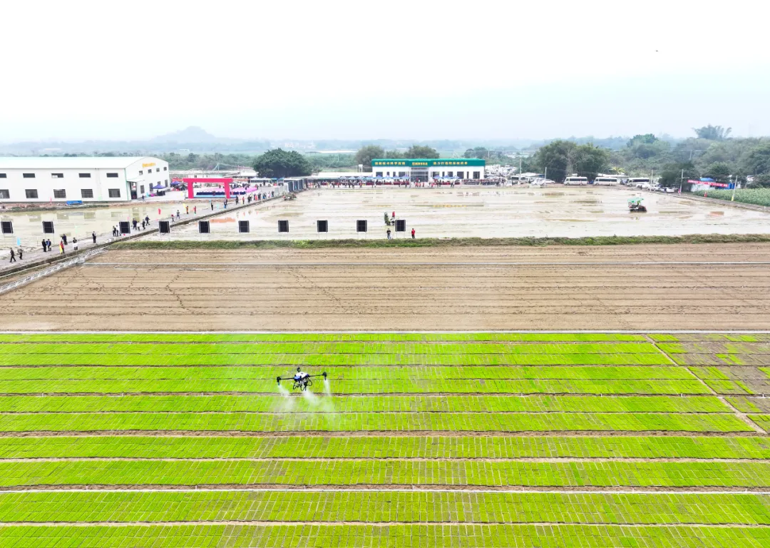 飞肥(含肥料)和收割六个环节,以规模化,集约化,现代化农业生产模式