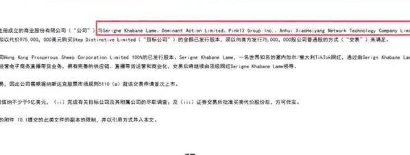 小杨哥拿下无语哥，定40亿美元带货目标！双方公司被67亿收购