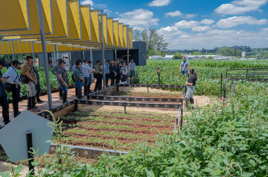 817911575585604560 (1).png