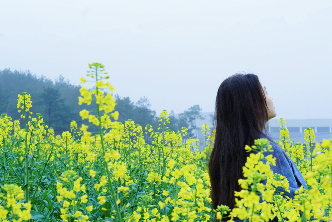 花海送皮肤