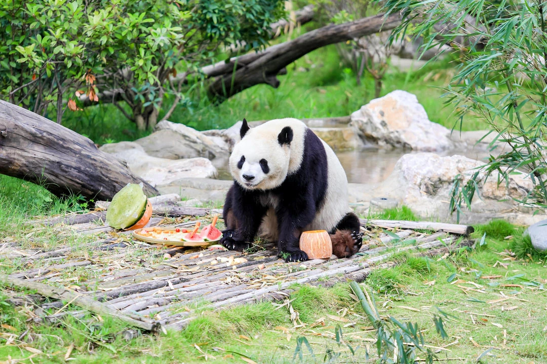 额头上有很多绒毛在面相上_额头上绒毛是福气_额头上绒毛多女子命运