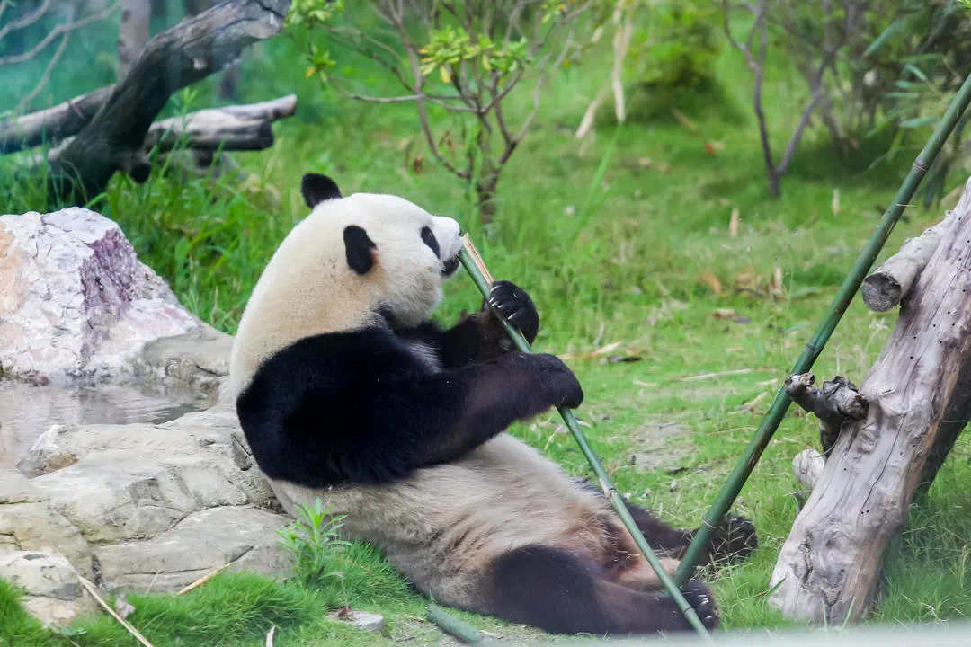 额头上有很多绒毛在面相上_额头上绒毛是福气_额头上绒毛多女子命运